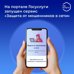 Цифровой сервис по жизненной ситуации «Защита от мошенников в сети» на портале Госуслуги